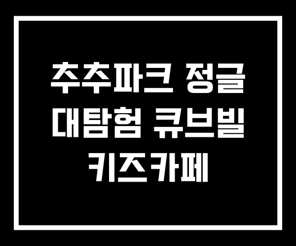 추추파크 정글 대탐험 큐브빌 키즈카페