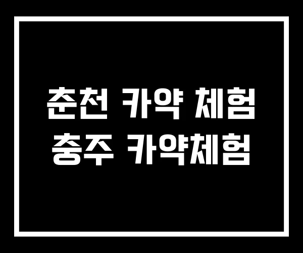 춘천 카약 체험 충주 카약체험 춘천 카약 체험 충주 카약체험