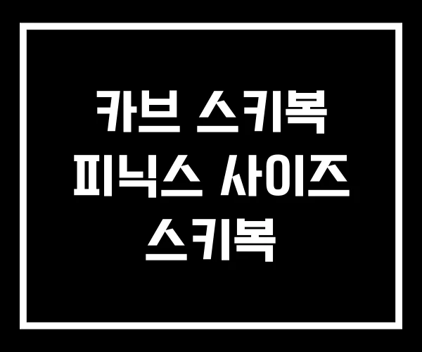 카브 스키복 피닉스 사이즈 스키복 카브 스키복 피닉스 사이즈 스키복