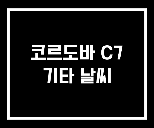 코르도바 C7 기타 날씨
