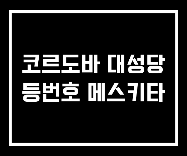 코르도바 대성당 등번호 메스키타