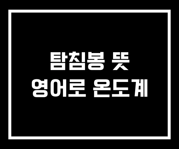 탐침봉 뜻 영어로 온도계