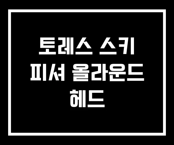 토레스 스키 피셔 올라운드 헤드