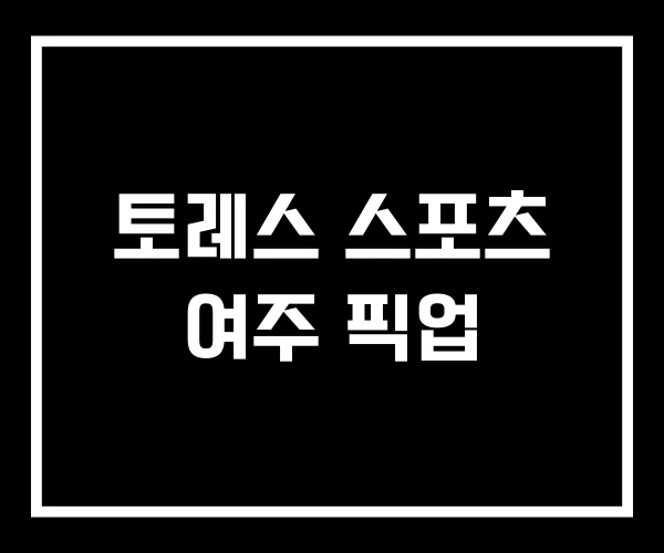 토레스 스포츠 여주 픽업
