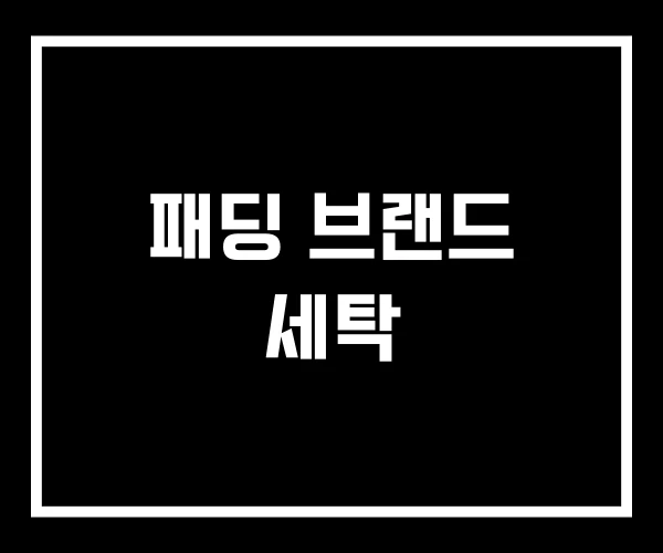 패딩 브랜드 세탁