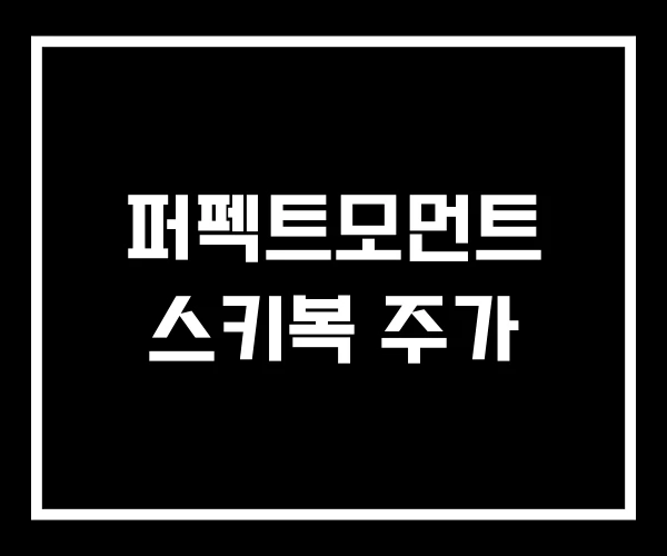 퍼펙트모먼트 스키복 주가 퍼펙트모먼트 스키복 주가