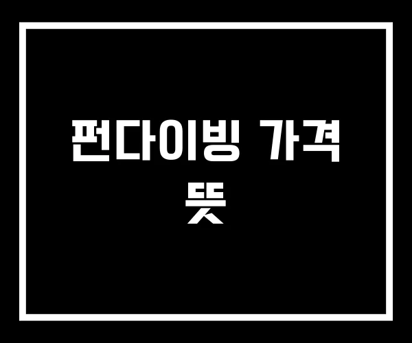 펀다이빙 가격 뜻