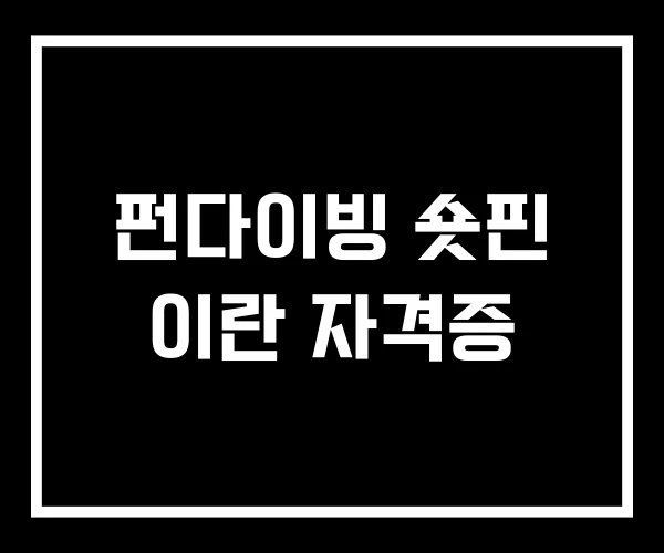 펀다이빙 숏핀 이란 자격증