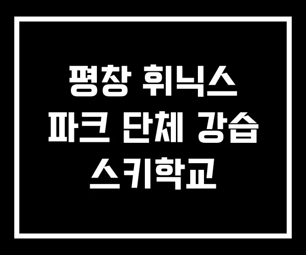 평창 휘닉스 파크 단체 강습 스키학교 평창 휘닉스 파크 단체 강습 스키학교