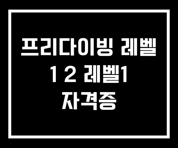 프리다이빙 레벨 1 2 레벨1 자격증