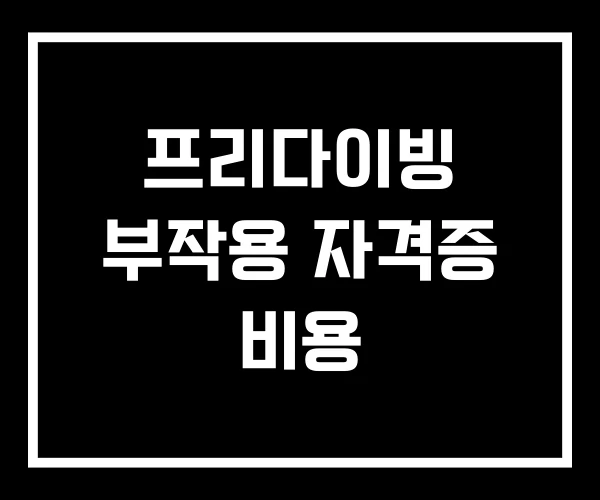 프리다이빙 부작용 자격증 비용