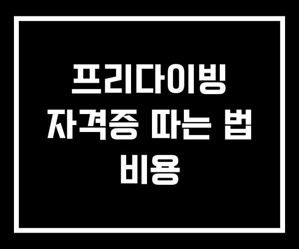 프리다이빙 자격증 따는 법 비용