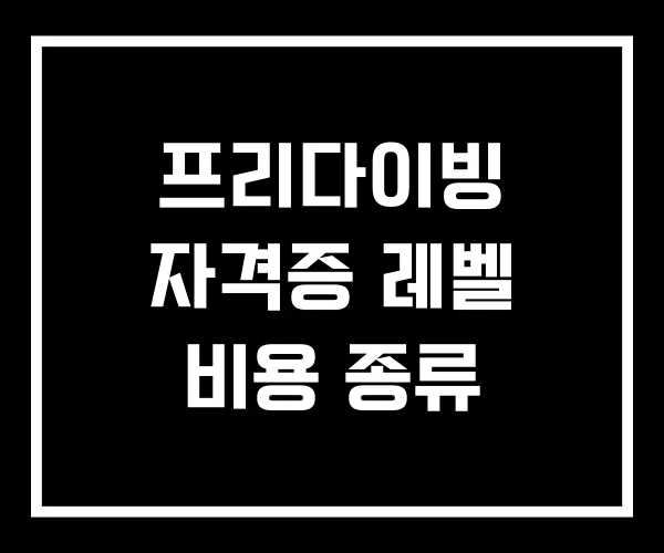 프리다이빙 자격증 레벨 비용 종류