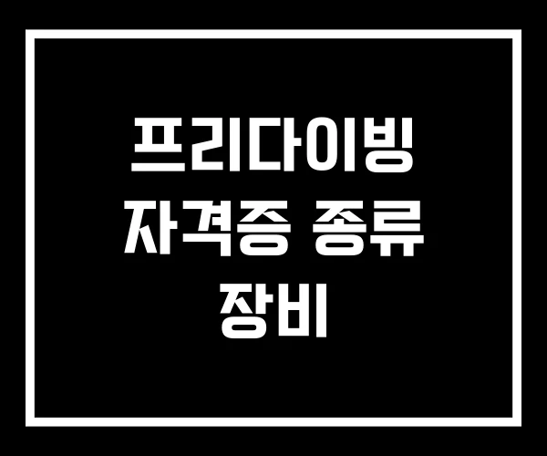 프리다이빙 자격증 종류 장비