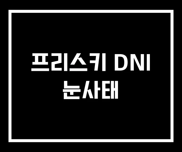 프리스키 DNI 눈사태 프리스키 DNI 눈사태