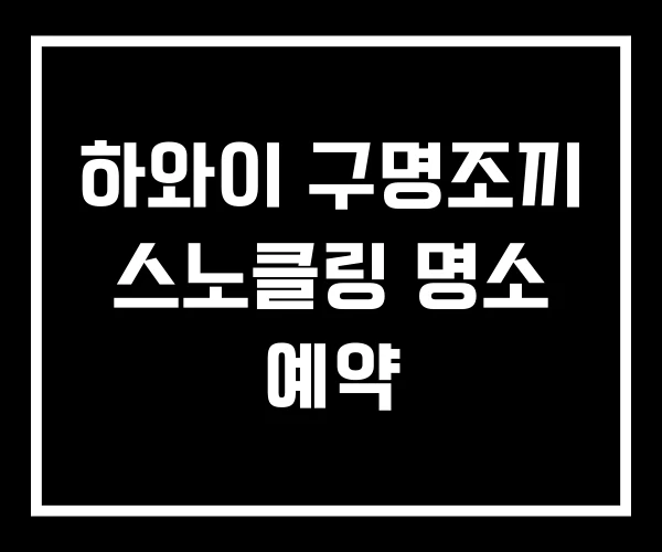 하와이 구명조끼 스노클링 명소 예약