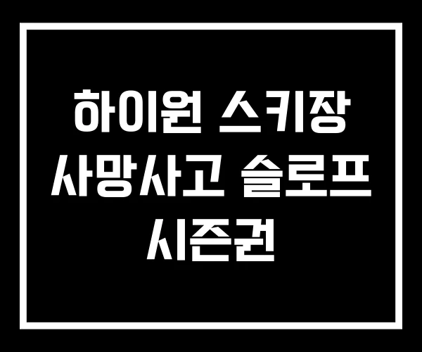 하이원 스키장 사망사고 슬로프 시즌권