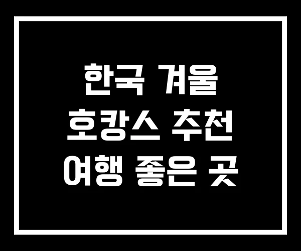 한국 겨울 호캉스 추천 여행 좋은 곳 한국 겨울 호캉스 추천 여행 좋은 곳