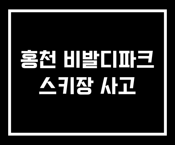 홍천 비발디파크 스키장 사고
