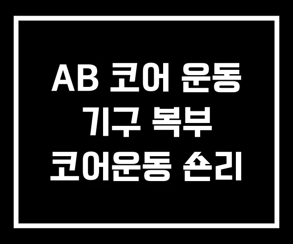AB 코어 운동 기구 복부 코어운동 숀리