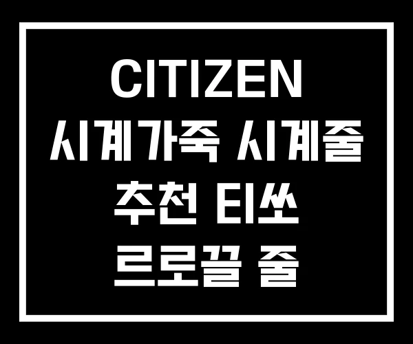 CITIZEN 시계가죽 시계줄 추천 티쏘 르로끌 줄