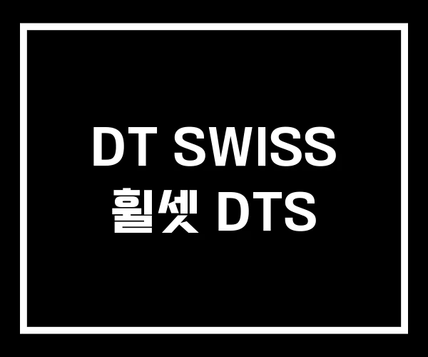DT SWISS 휠셋 DTS