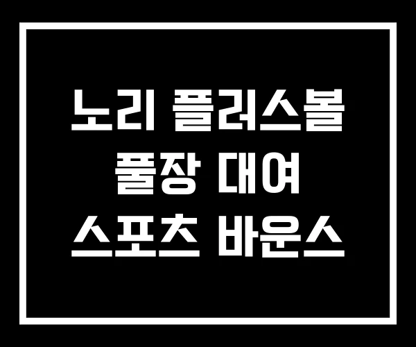 노리 플러스볼 풀장 대여 스포츠 바운스