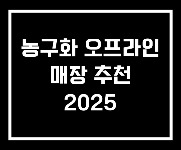 농구화 오프라인 매장 추천 2025
