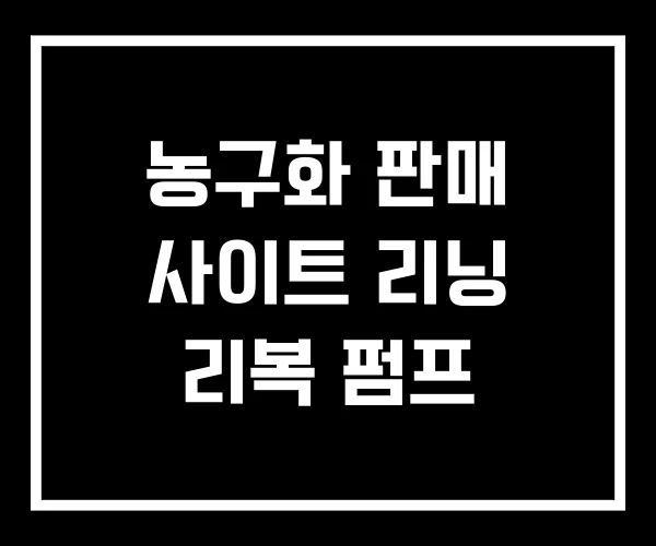 농구화 판매 사이트 리닝 리복 펌프