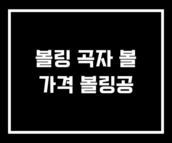 볼링 곡자 볼 가격 볼링공
