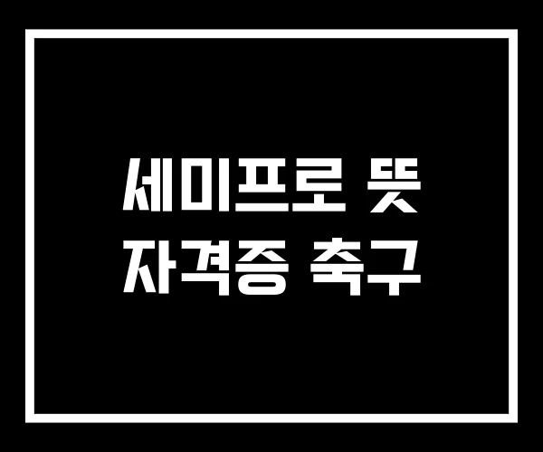 세미프로 뜻 자격증 축구