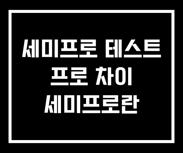 세미프로 테스트 프로 차이 세미프로란