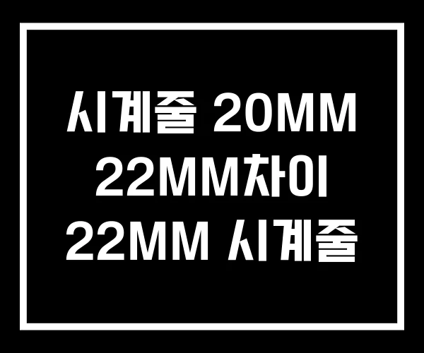 시계줄 20MM 22MM차이 22MM 시계줄