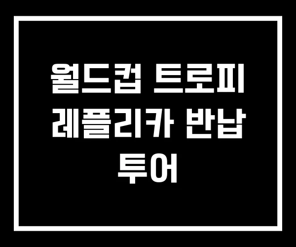 월드컵 트로피 레플리카 반납 투어
