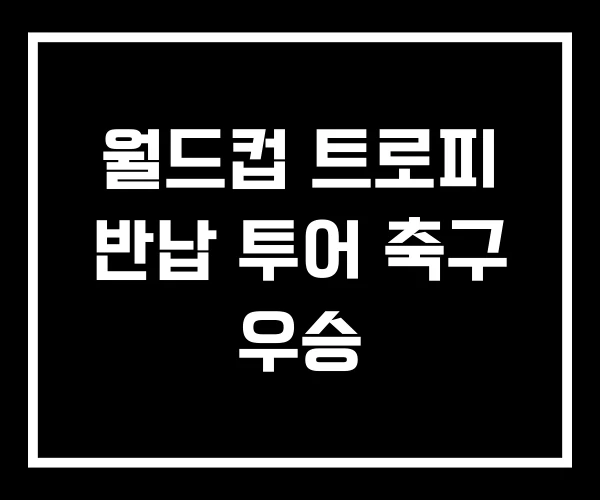 월드컵 트로피 반납 투어 축구 우승