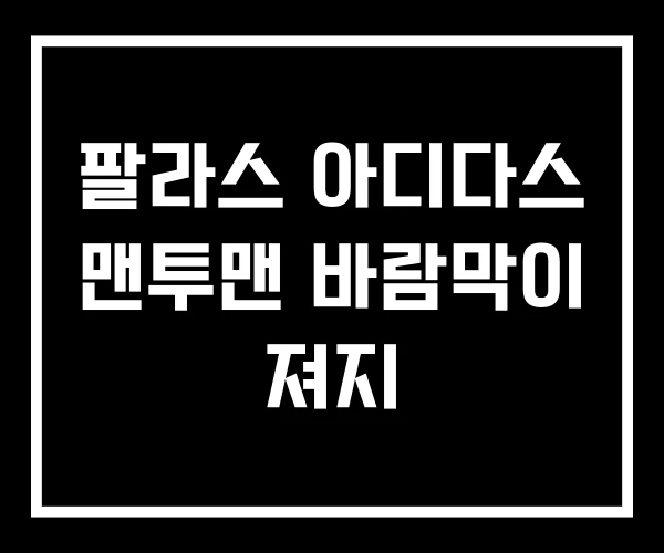 팔라스 아디다스 맨투맨 바람막이 져지
