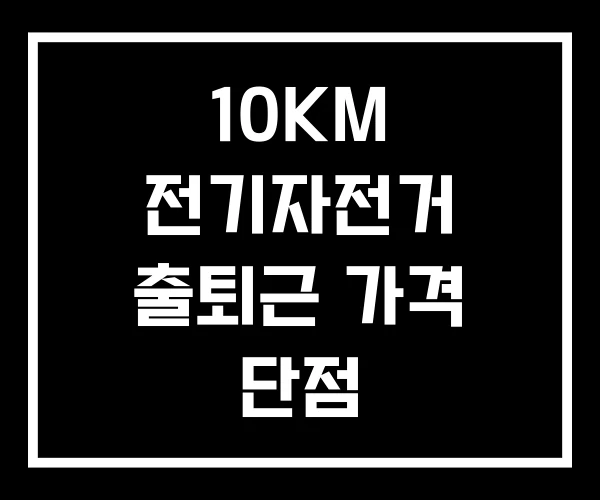 10KM 전기자전거 출퇴근 가격 단점 10KM 전기자전거 출퇴근 가격 단점