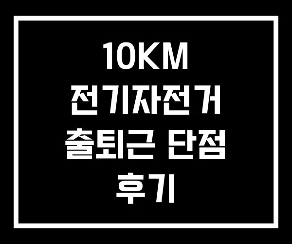 10KM 전기자전거 출퇴근 단점 후기 10KM 전기자전거 출퇴근 단점 후기