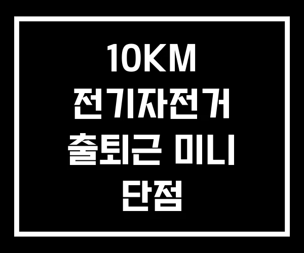 10KM 전기자전거 출퇴근 미니 단점