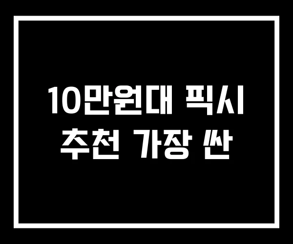 10만원대 픽시 추천 가장 싼 10만원대 픽시 추천 가장 싼