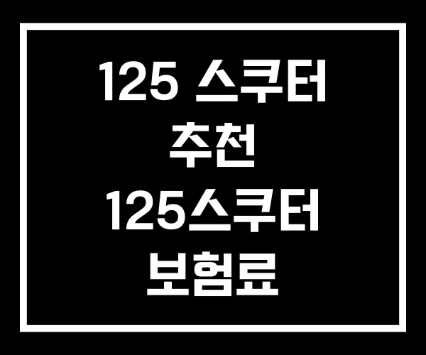 125 스쿠터 추천 125스쿠터 보험료
