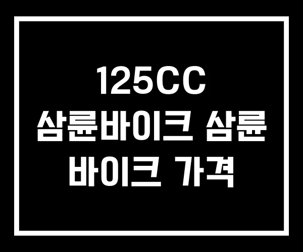 125CC 삼륜바이크 삼륜 바이크 가격 125CC 삼륜바이크 삼륜 바이크 가격