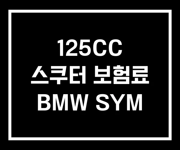 125CC 스쿠터 보험료 BMW SYM 125CC 스쿠터 보험료 BMW SYM
