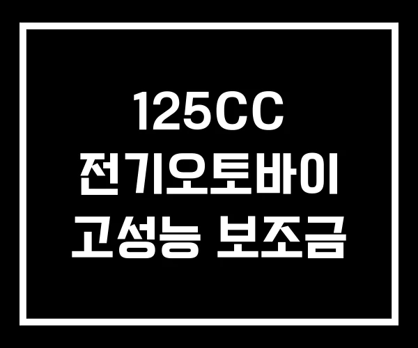 125CC 전기오토바이 고성능 보조금