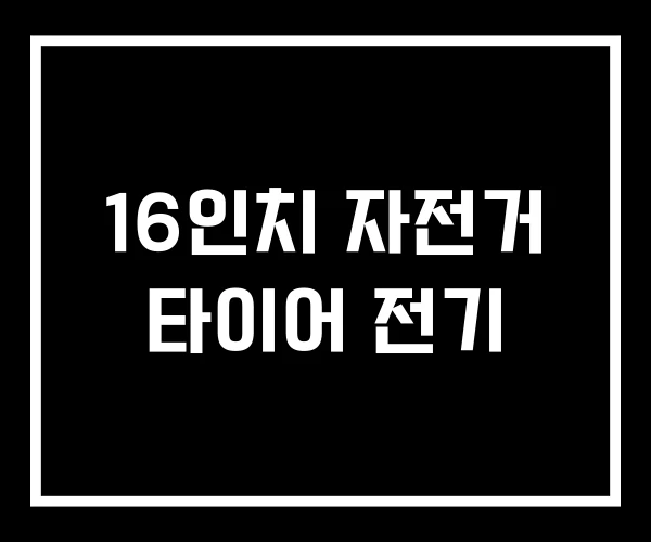 16인치 자전거 타이어 전기 16인치 자전거 타이어 전기