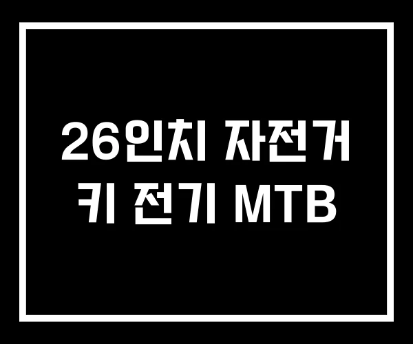 26인치 자전거 키 전기 MTB 26인치 자전거 키 전기 MTB