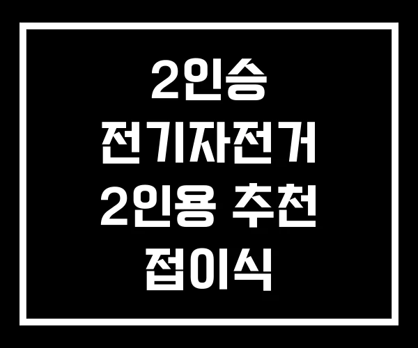 2인승 전기자전거 2인용 추천 접이식 2인승 전기자전거 2인용 추천 접이식