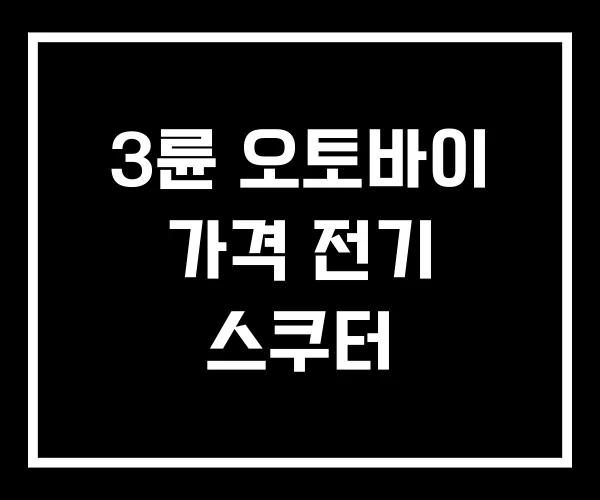 3륜 오토바이 가격 전기 스쿠터 3륜 오토바이 가격 전기 스쿠터