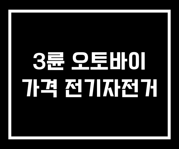 3륜 오토바이 가격 전기자전거 3륜 오토바이 가격 전기자전거