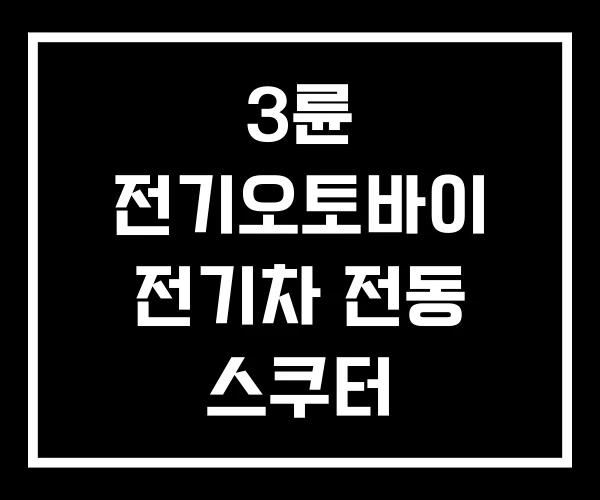 3륜 전기오토바이 전기차 전동 스쿠터